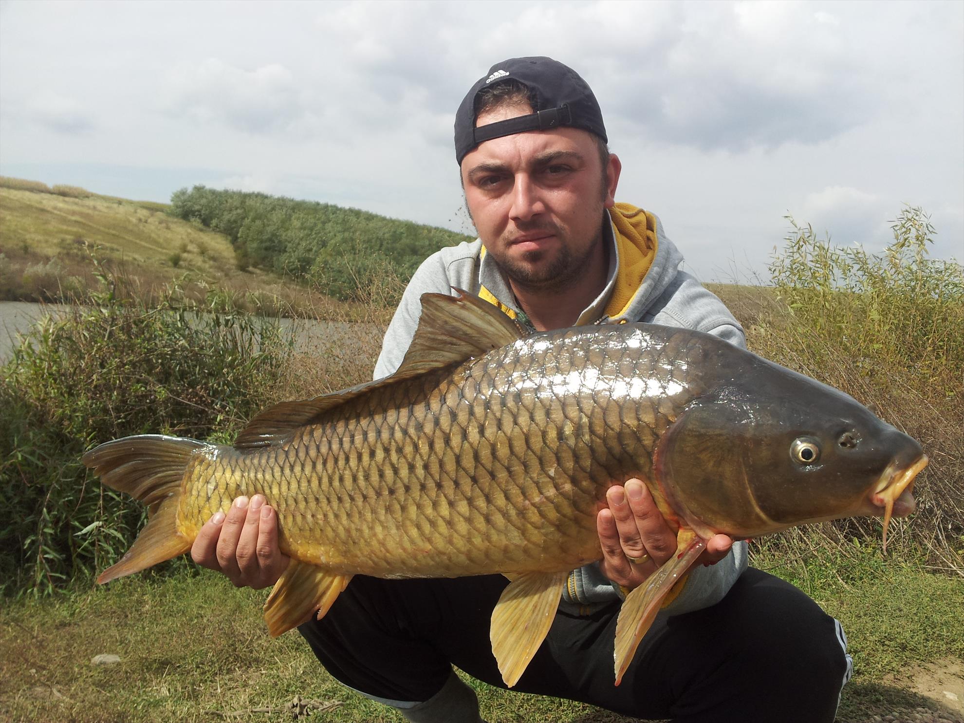 2014 - 20141003134303.jpg